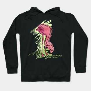 Phoenicopterus #6 Hoodie